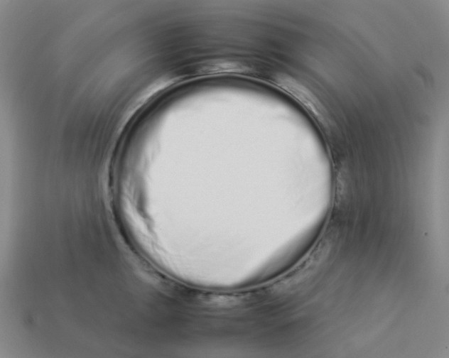 X0000113261047200910081335