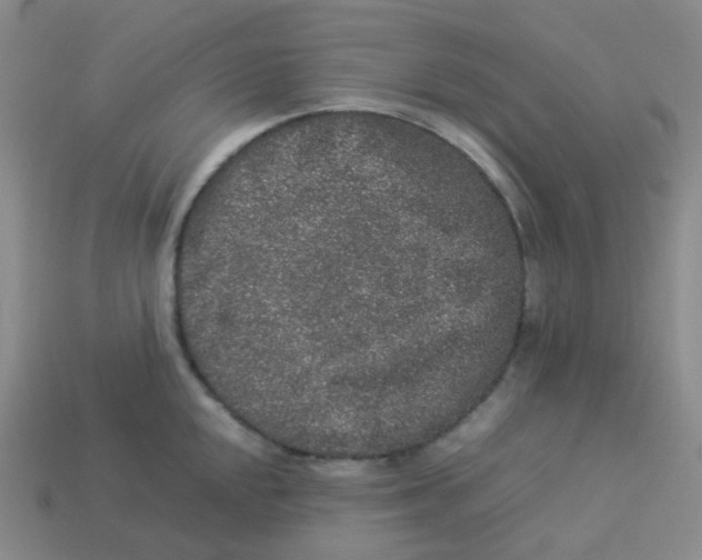 X0000113261048200910081335