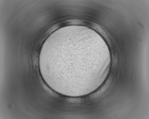X0000113261049200910081335