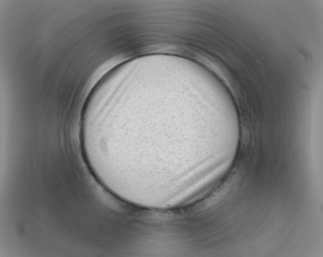 X0000113261050200910081335