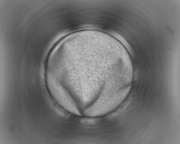 X0000113261051200910081335