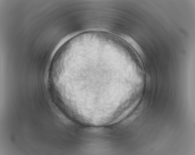 X0000113261052200910081335