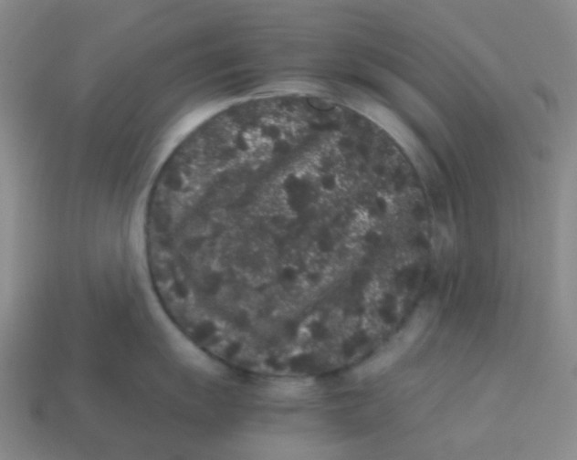 X0000113261055200910081335
