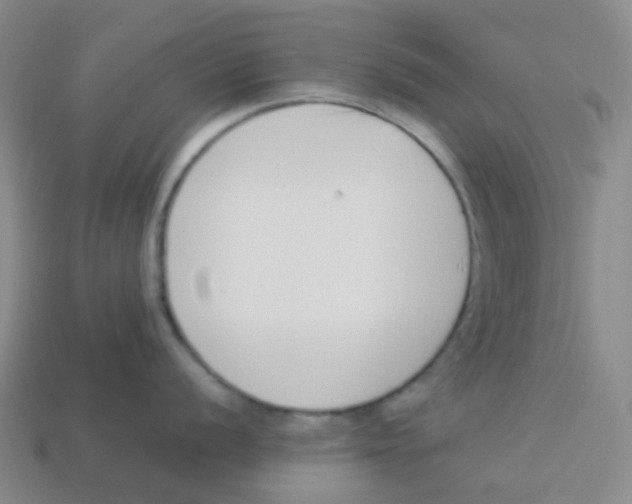 X0000113261056200910081335