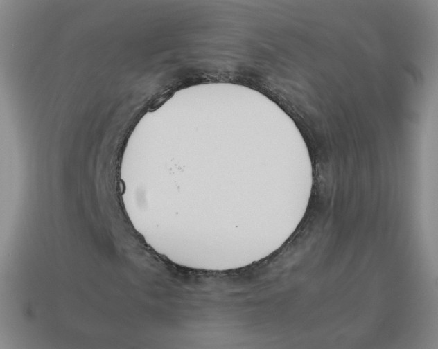 X0000113261057200910081335