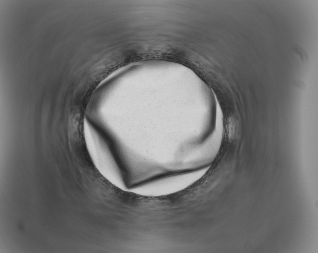 X0000113261059200910081335