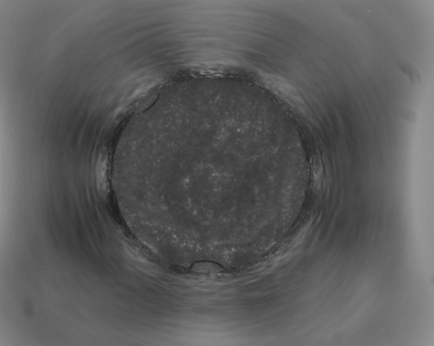 X0000113261060200910081335