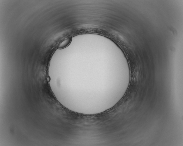 X0000113261062200910081335