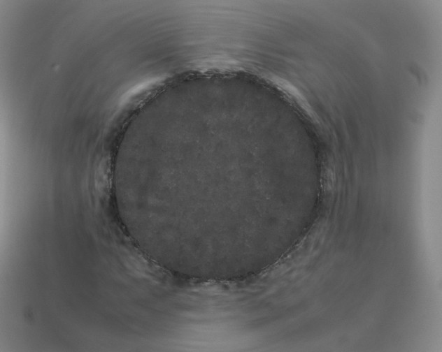 X0000113261063200910081335