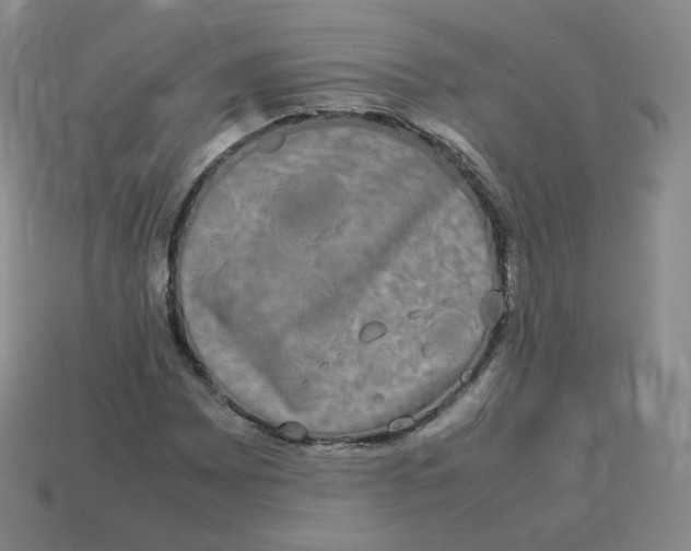 X0000113261065200910081334