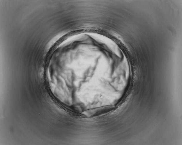 X0000113261066200910081334