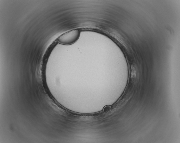 X0000113261068200910081334