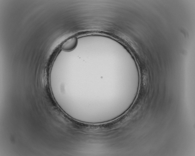 X0000113261069200910081334
