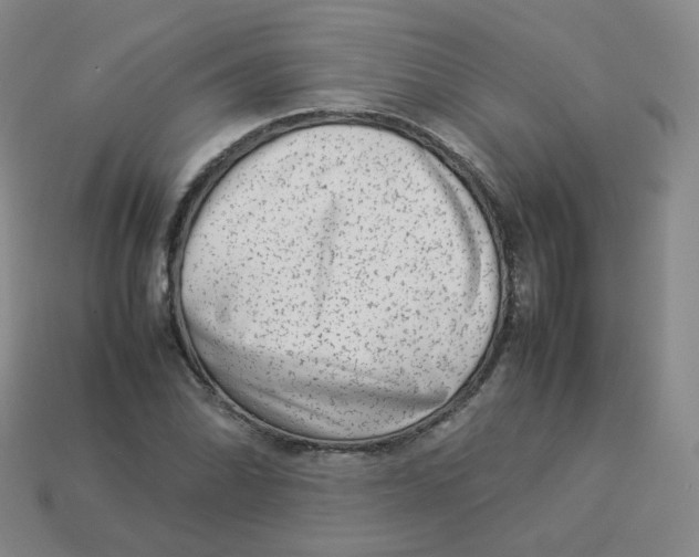 X0000113261070200910081334