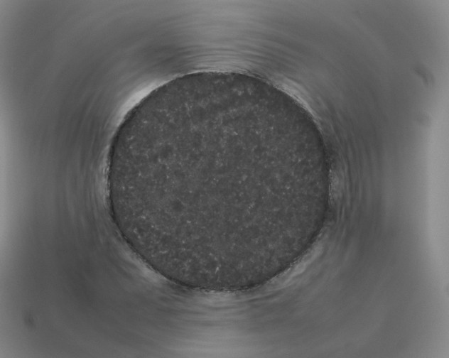 X0000113261071200910081334