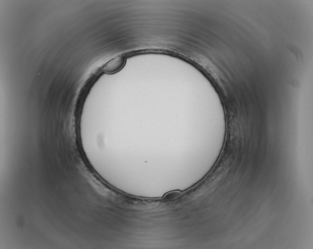 X0000113261072200910081334