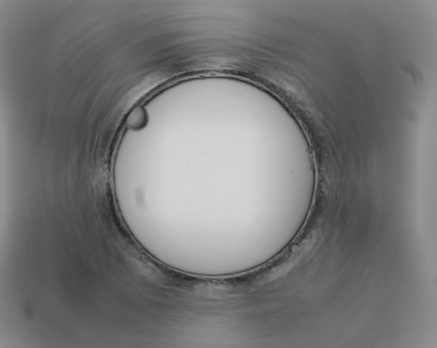 X0000113261073200910081334