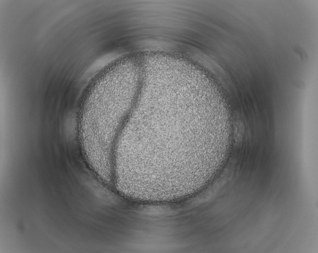 X0000113261074200910081334
