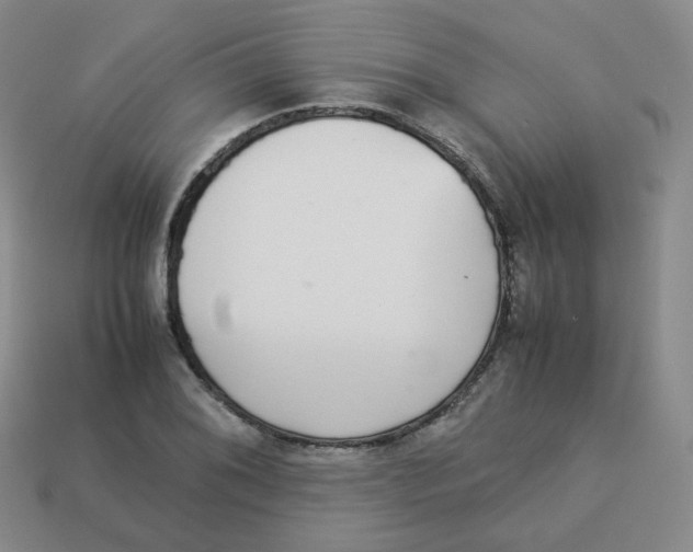 X0000113261076200910081334