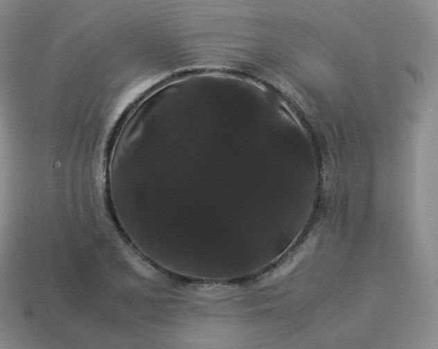 X0000113261077200910081334