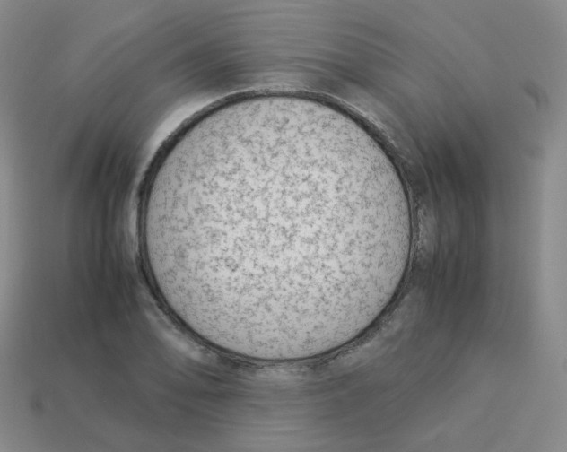 X0000113261078200910081334