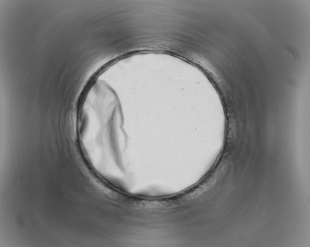 X0000113261079200910081334