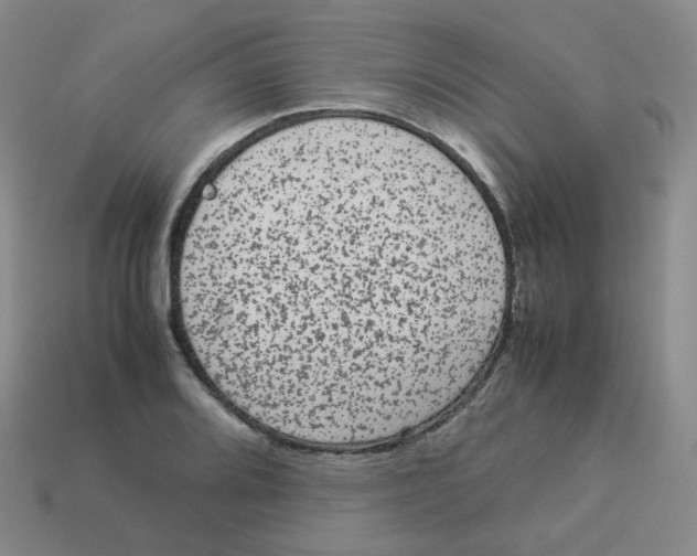 X0000113261080200910081334