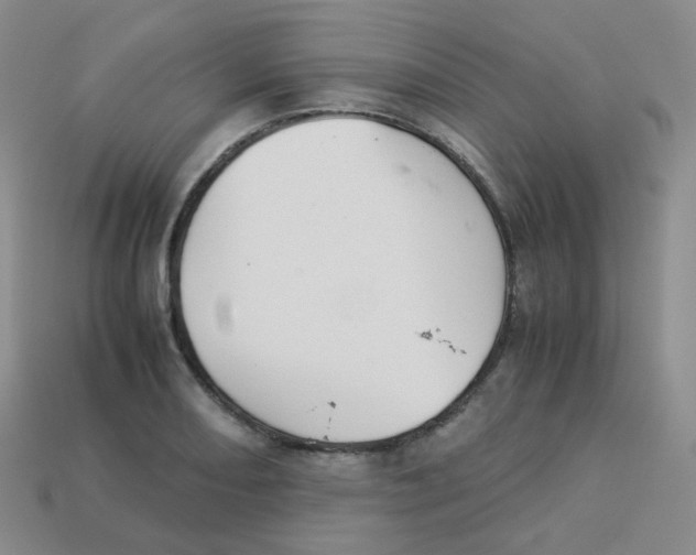 X0000113261082200910081334