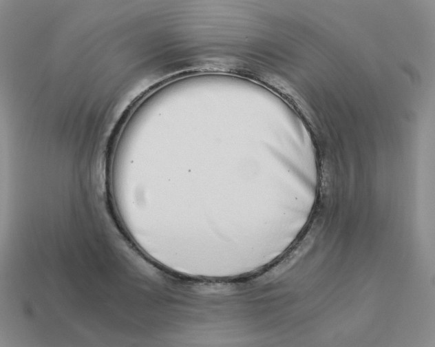 X0000113261083200910081334