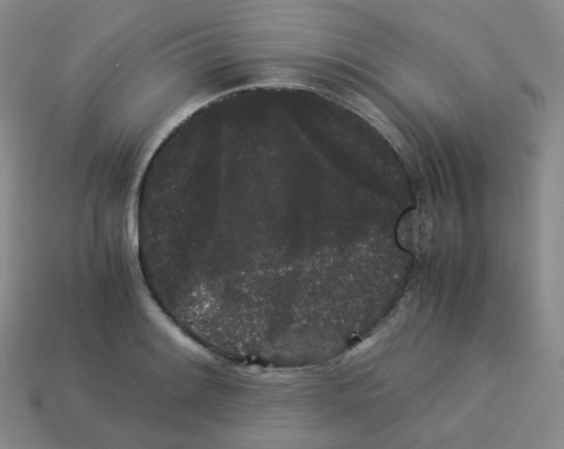 X0000113261084200910081334