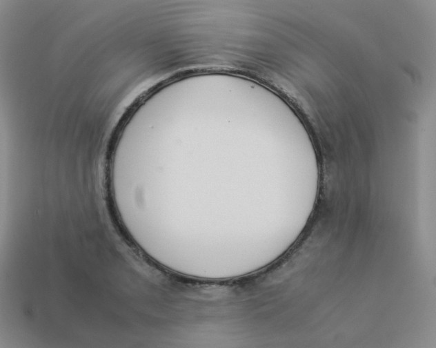 X0000113261085200910081334