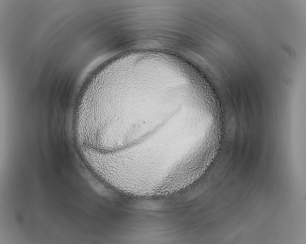 X0000113261086200910081334