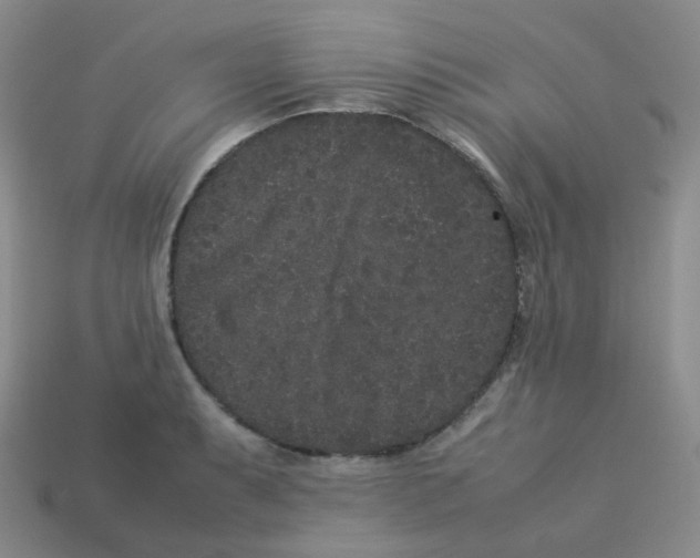 X0000113261087200910081334