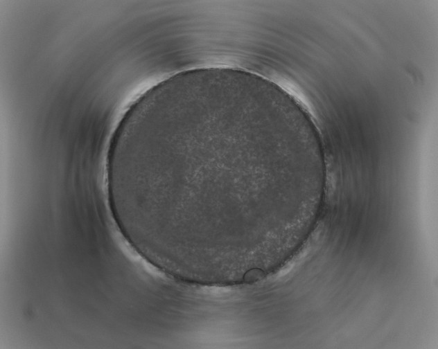 X0000113261088200910081334