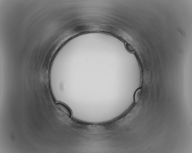 X0000113261089200910081334