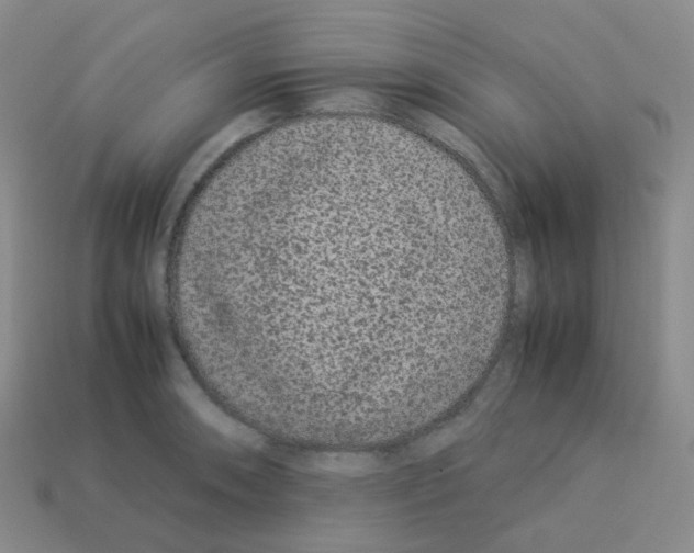 X0000113261090200910081334