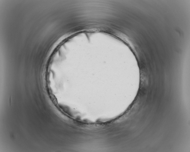 X0000113261091200910081334