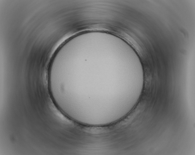 X0000113261092200910081334
