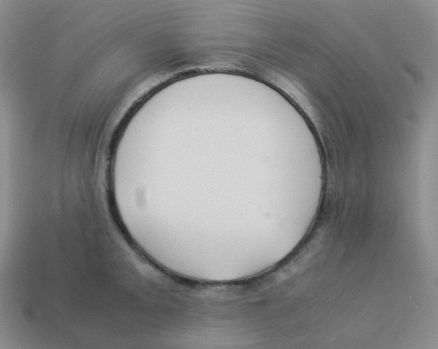 X0000113261093200910081334