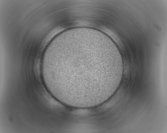 X0000113261094200910081334