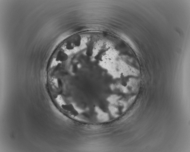 X0000113261095200910081334