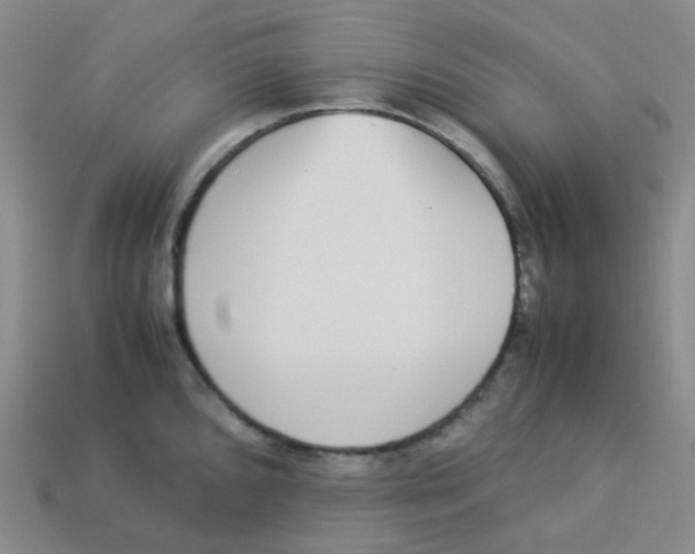 X0000113261096200910081334