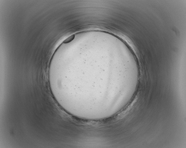 X0000113261097200910081334