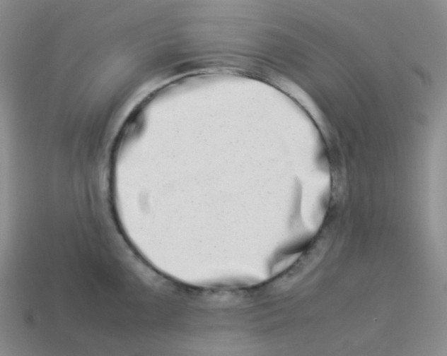 X0000113261099200910081334