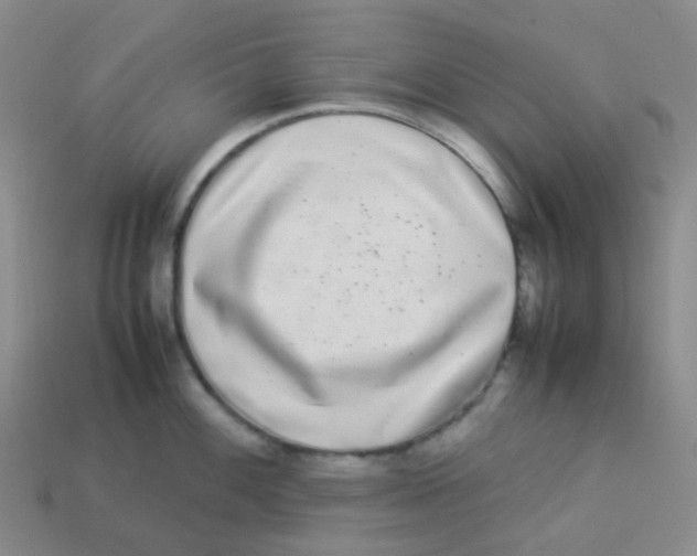 X0000113261100200910081334