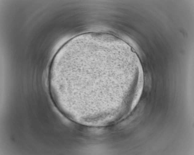 X0000113261103200910081334