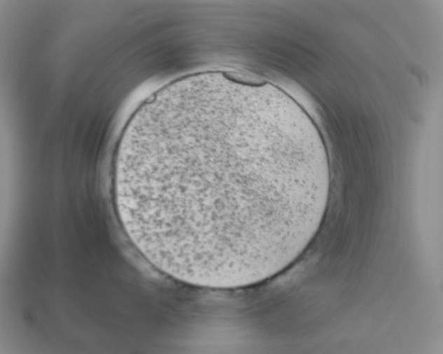 X0000113261104200910081334