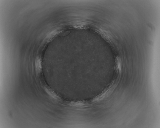 X0000113261106200910081333
