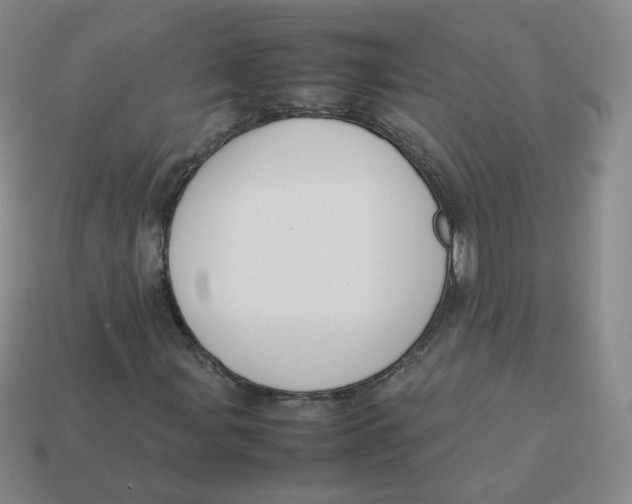 X0000113261107200910081333