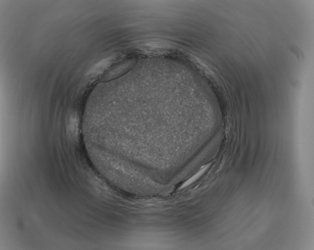 X0000113261108200910081333